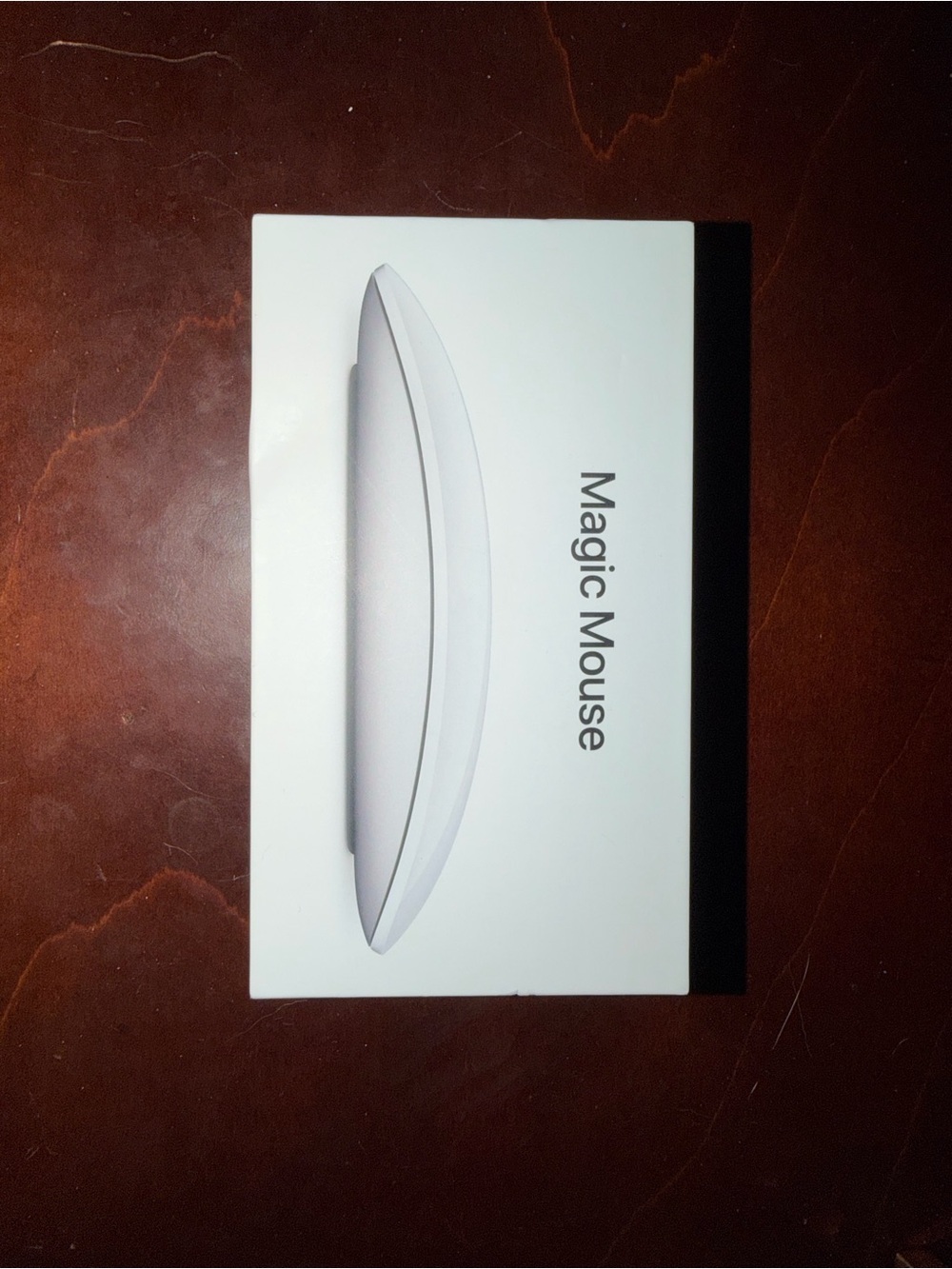 Apple Magic Mouse in Silver and Black Accents